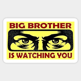 Big Brother Is Watching You Sticker